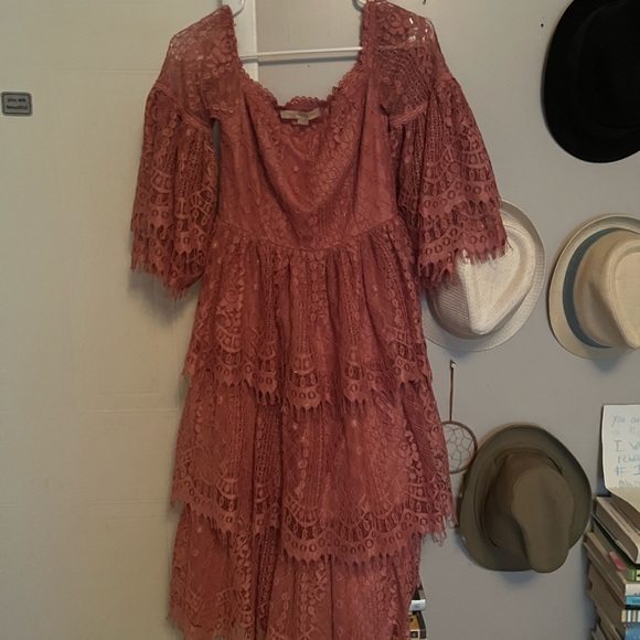 Anthropologie Champagne & Strawberries Lace Corset Vintage style Dress - Picture 5 of 9